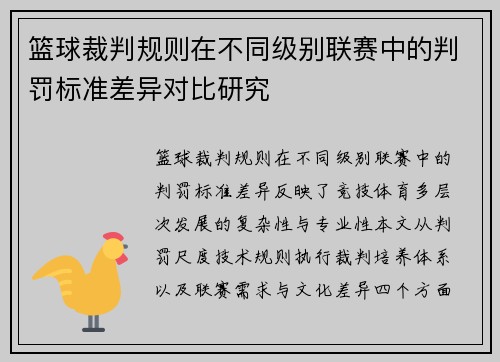 篮球裁判规则在不同级别联赛中的判罚标准差异对比研究